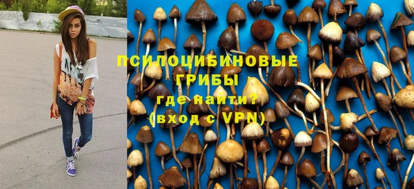 Альфа ПВП Богородск