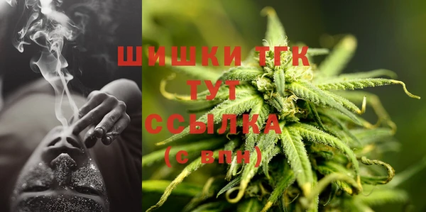 Альфа ПВП Богородск