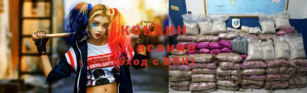 твердый Богородицк