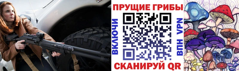Галлюциногенные грибы Psilocybe  блэк спрут вход  Полтавская  что такое  